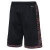 Homme Brooklyn Nets Shorts 2025-26 Nike City Edition Swingman